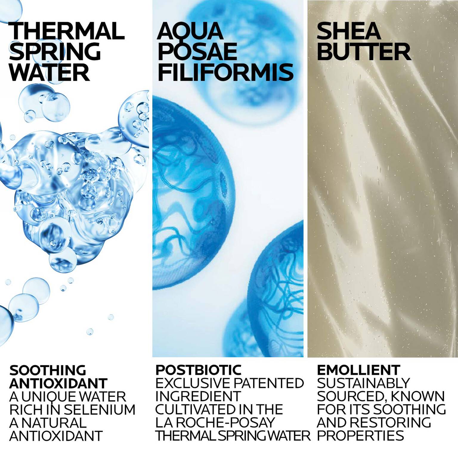 lipikar-wash-ap-moisturizing-body-and-face-wash-j9 Lipikar-Wash-ingredients_1500x1500-REV.jpg